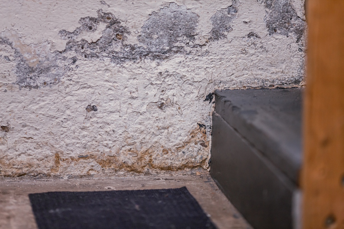 Basement Water Damage